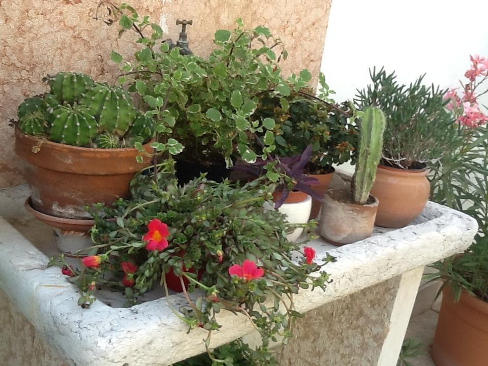 ורונה B&B Al Giardinetto מראה חיצוני תמונה